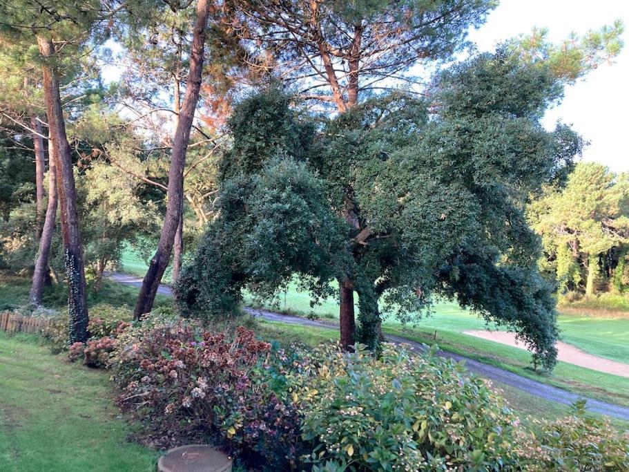 Vue Golf Dans Residence Nature "Sympalappart" Moliets-et-Maa Dış mekan fotoğraf